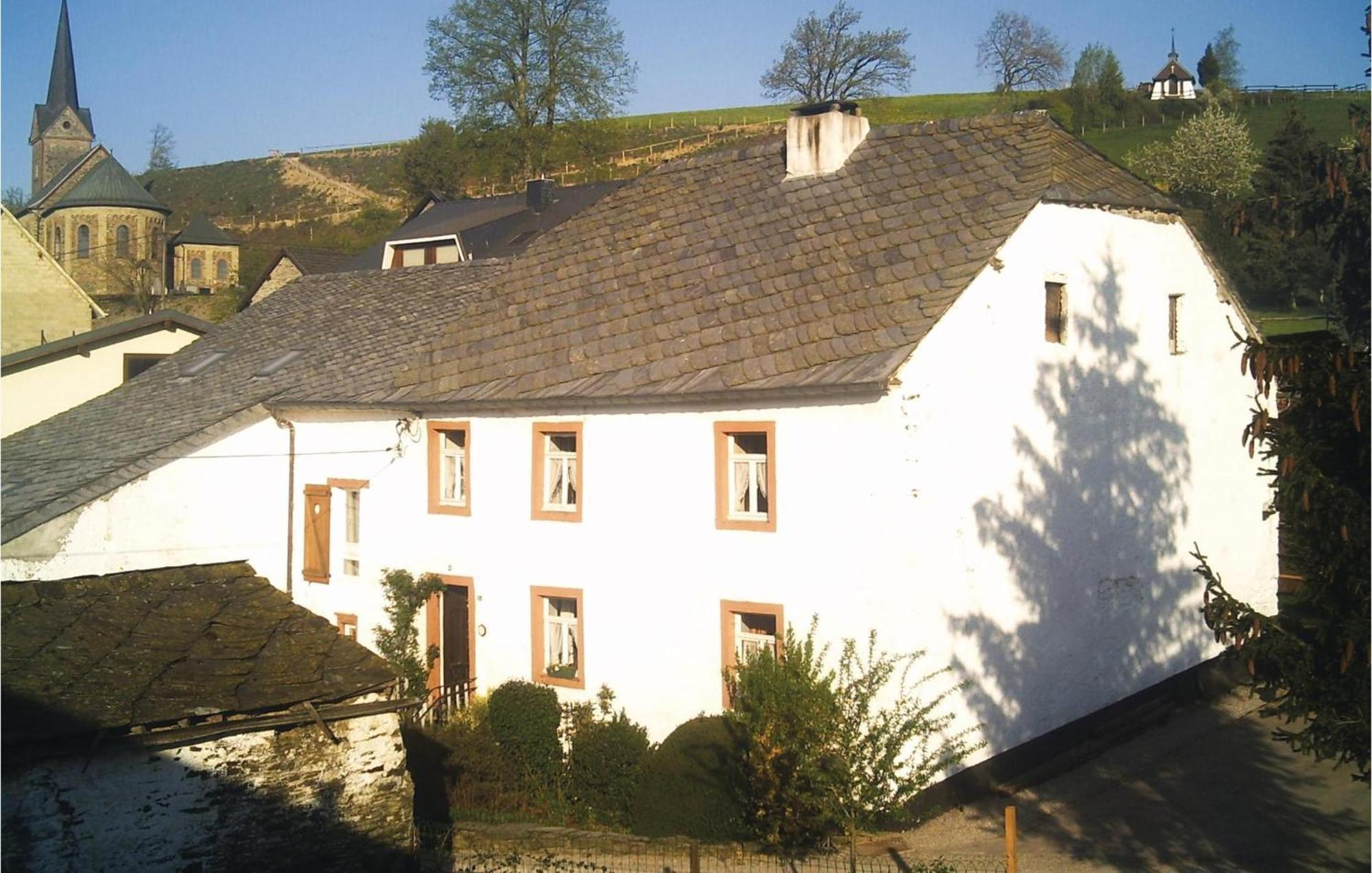 Haus Marx Villa Burg Reuland Eksteriør billede